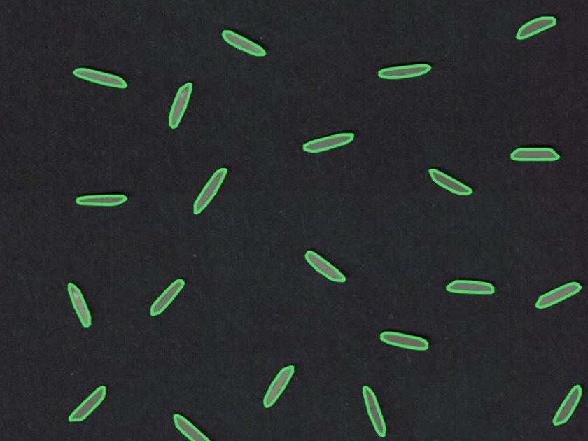 Part of a real scan with the detected boundary of each rice grain outlined: whole grains in green, broken grains in red